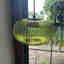 Photos des clients 1 de 1