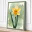 Golden Daffodil Botanical - Wrapped Canvas-474927229-474927230