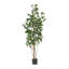 ARBRE DE LAurier artificiel