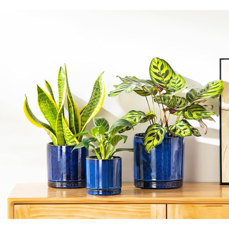 Set of 3 Ceramic Plant Pots 4.25+5.25+6.25" with Drainage, Indoor Planters for Plants, Blue