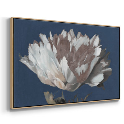 Pivoine blanc