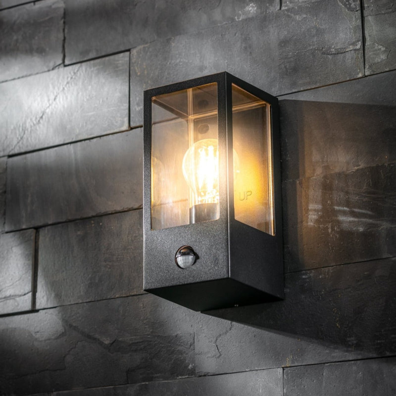 Aadya 22cm H Outdoor Wall Lantern
