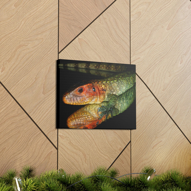 Reproduction d'art mural Caiman, H 12 po x l 16 po