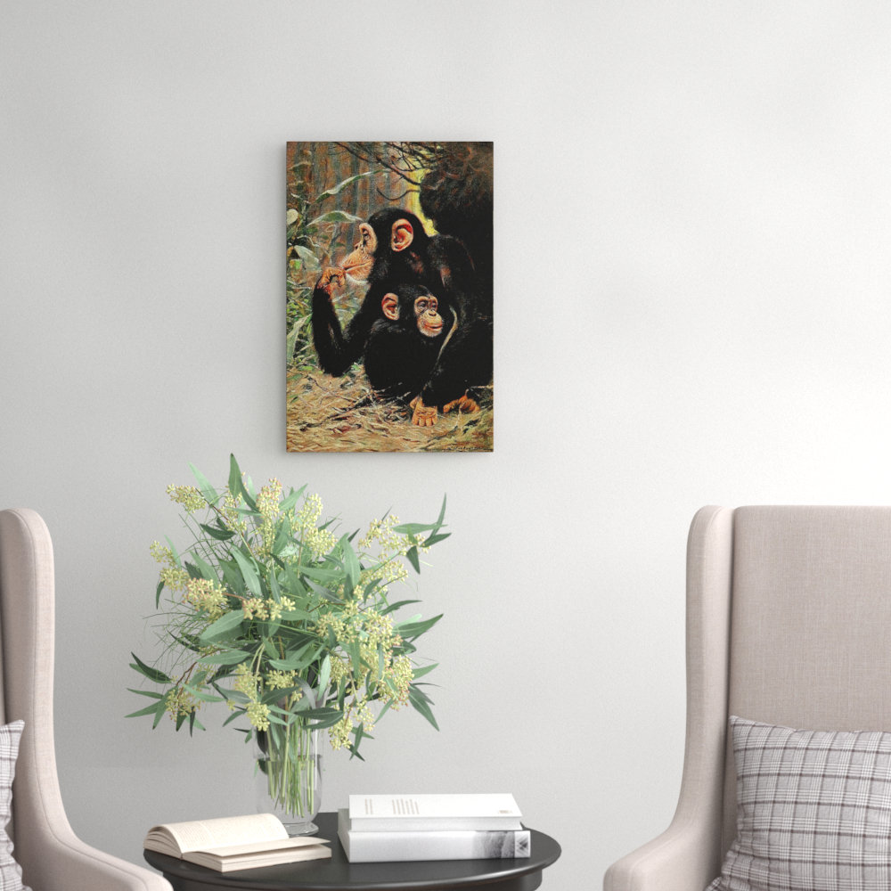 Vintage Chimpanzee by Wilhelm Kuhnert - Wrapped Canvas