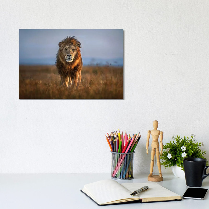 Lion Close Up by Xavier Ortega - Print on Canvas, 20.32 cm H x 30.48 cm W, Wrapped Canvas