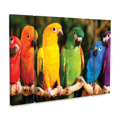 Ensemble de 3 panneaux multicolores «Rainbow Parrots» par Mike Jones