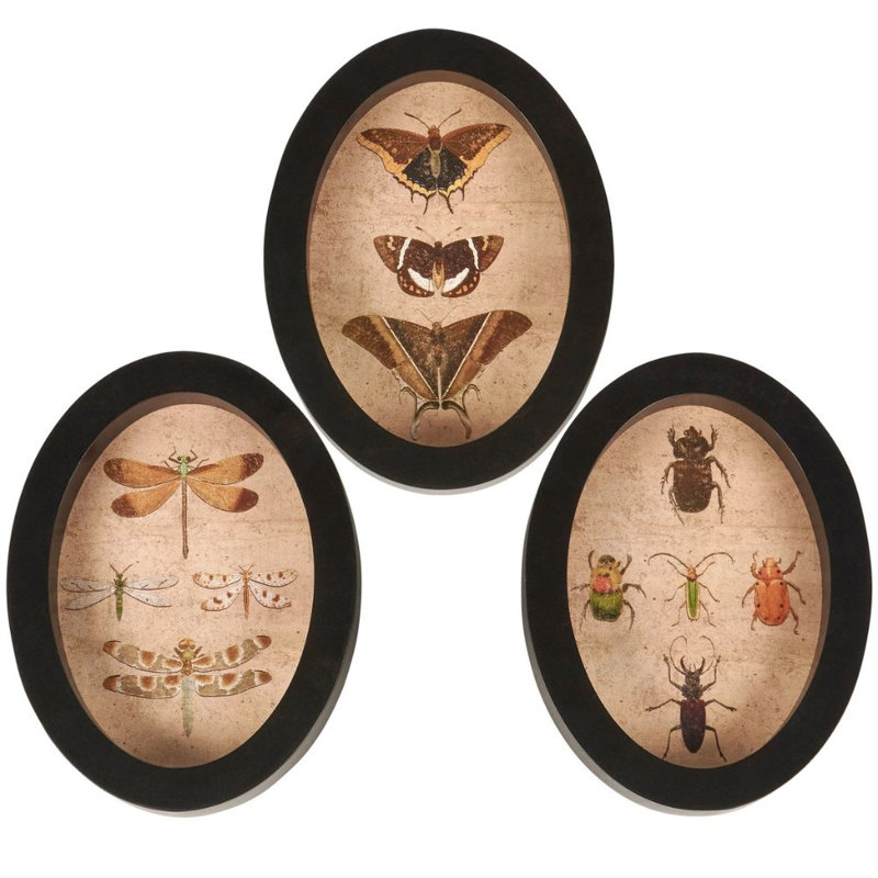 Ensemble de décoration suspendue insectes