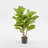 Artificial Fiddle Leaf Fig Tree 5Ft/7.2Ft-1417875966