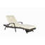 Ensemble de 2 chaises longues d'extérieur en osier avec coussins, chaise longue inclinable en osier