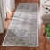 Domenic 800 Performance Oriental Rug