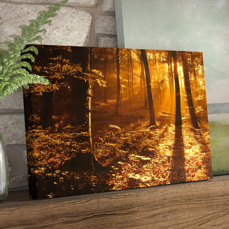 " Wrapped Canvas Wall Art - Philippe Sainte-Laudy 'Morning Light' Wall Art For Living Room, Bedroom, Or Office Décor - 22x32 " by Philippe Sainte-Laudy