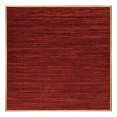 Machine Washable Solid Brown Area Rug