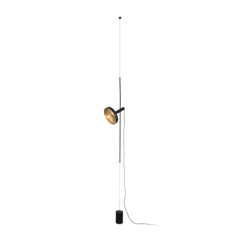 Whizz Pendant/Floor Lamp, Matte Black