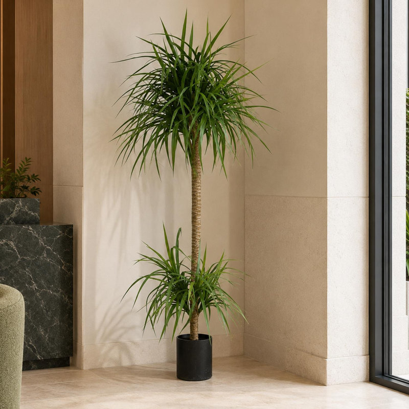 Annitte Faux Palm Tree in Pot Liner, 180cm H x 60cm W x 60cm D