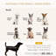 Lit pour chien avec rangement caché-391440668