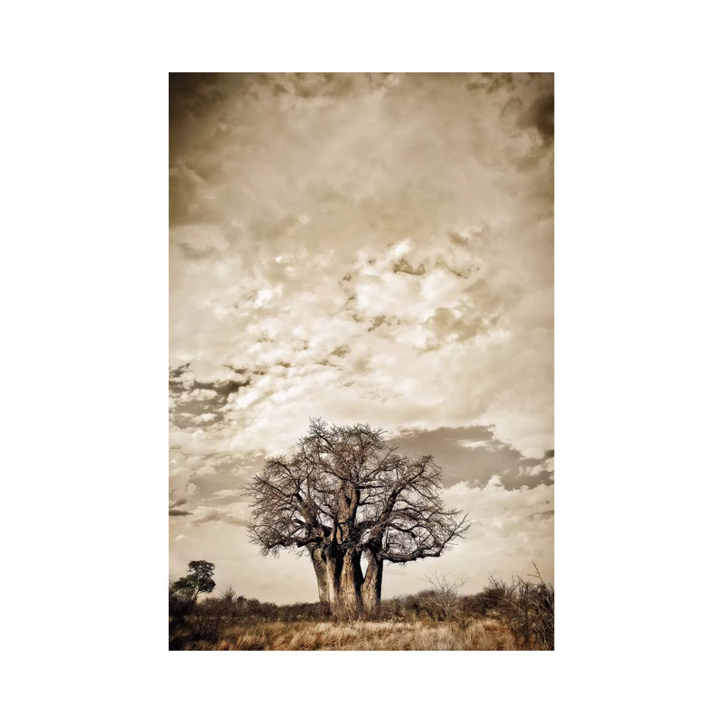 Baobab Hierarchy III 1 Piece Wrapped Canvas Wall Art, 20.32 cm H x 30.48 cm W