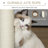 Duncanville Cat Perch