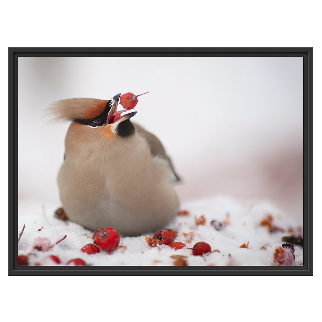 Gerahmtes Wandbild Kleiner VogelSchnee