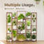 Support à plantes 17 niveaux pour intérieur / extérieur, étagère à niveaux pour salon / balcon / jardin