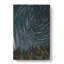 Stars Above A Forest In Austria - Wrapped Canvas-55318148