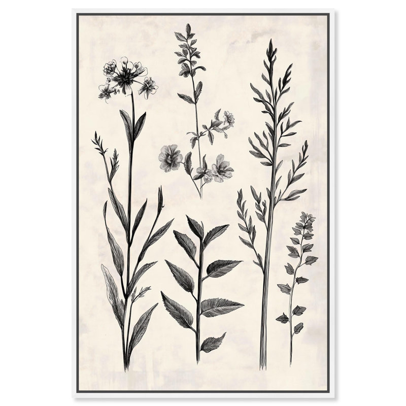 "Meadow Herbs II", impression murale sur toile par Art Remedy, cadre blanc, 16 x 24, H 25 po x l 17 po, Cadre blanc