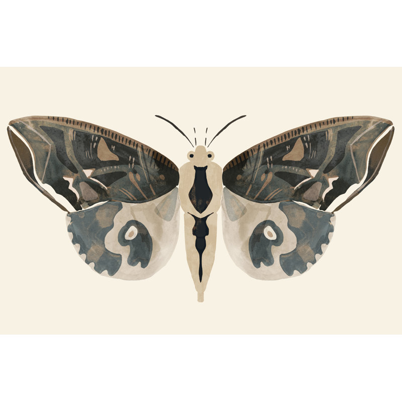 «Neutral Moth II» par Victoria Barnes - peinture sur toile tendue, H 20 po x l 30 po