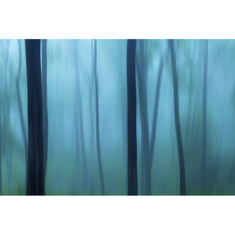 Harriman Woods II by James McLoughlin - Print on Canvas, 81cm H x 122cm W, Black Floater Framed