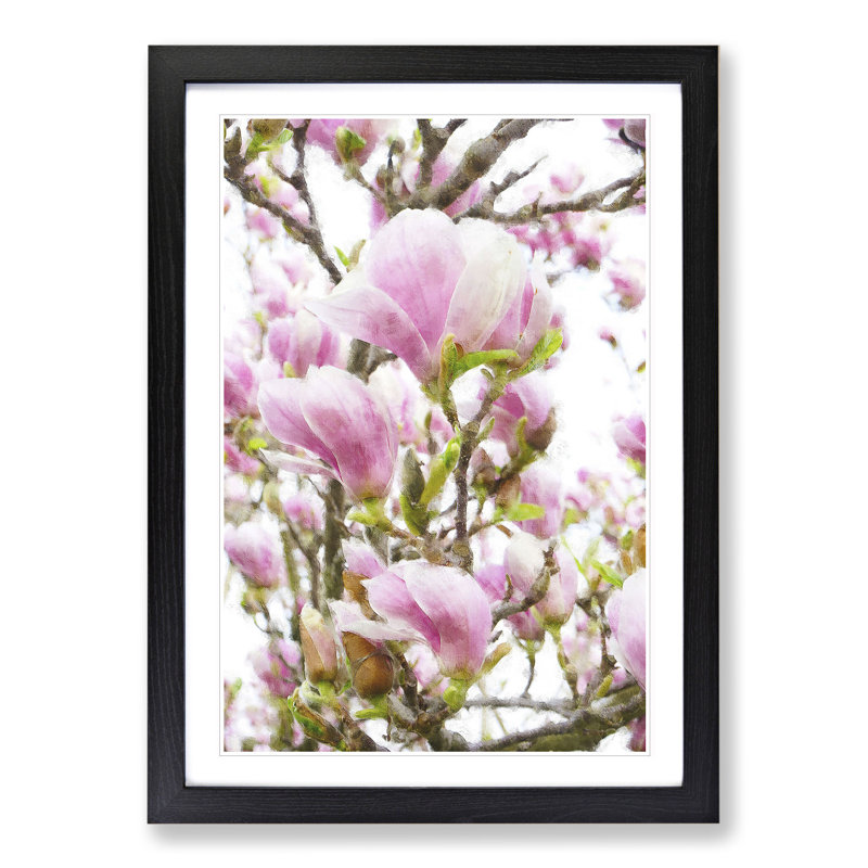 Pink Magnolia Blossom Flowers - Picture Frame Graphic Art, Black Framed, 48cm H x 36cm W x 2cm D