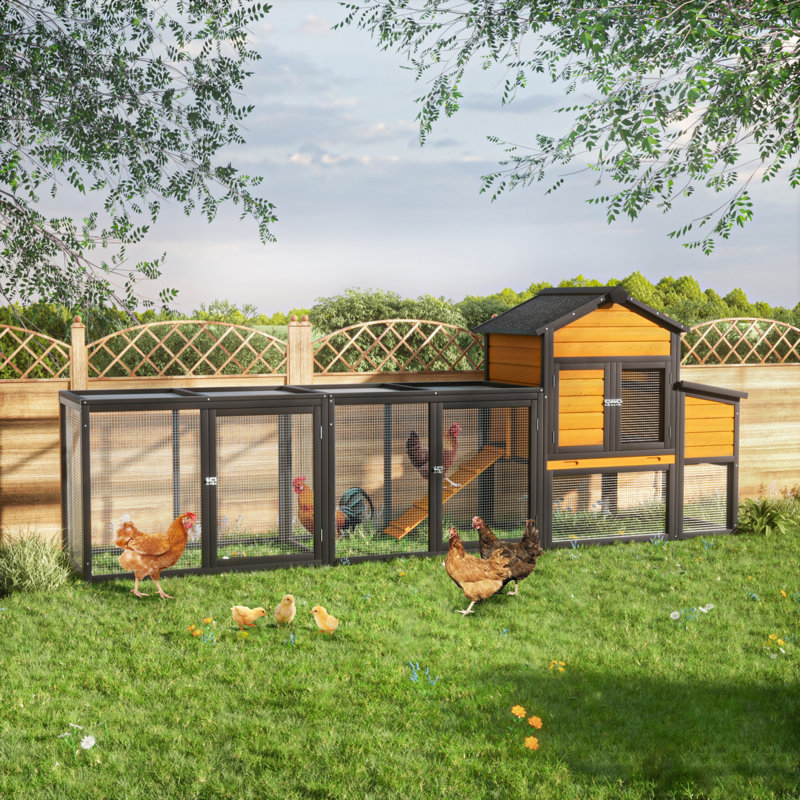 Poulailler pour 2 à 4 poulets