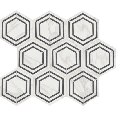 Perpetuo 8" x 9" Glazed Porcelain Hexagon Decorative Accent Wall Tile