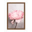 Nature Inspired Peony by  - Picture Frame Photograph on Paper-81387087-131284497-131284575