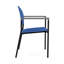 Chaise d'invité Chat Chat-98671416-98881975