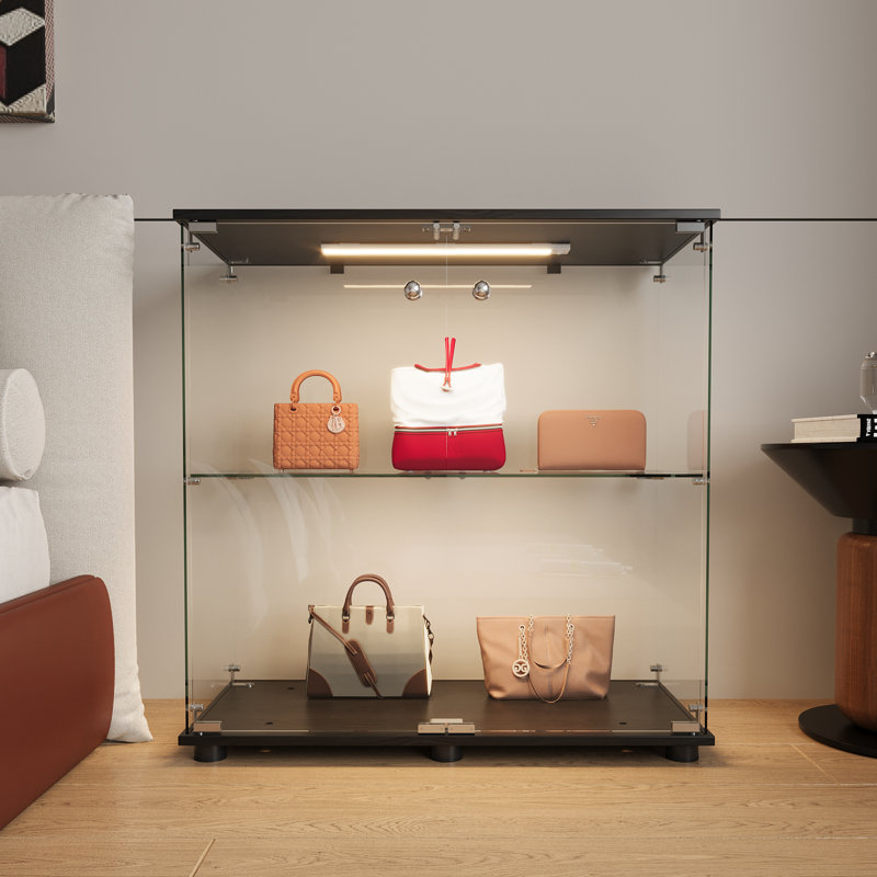 Vitrine en verre, vitrine, bibliothèque avec 3 lumières DEL, porte double à 2 tablettes, noir