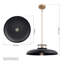Luminaire suspendu 1 lumière Allbright-1597883077-1597883076