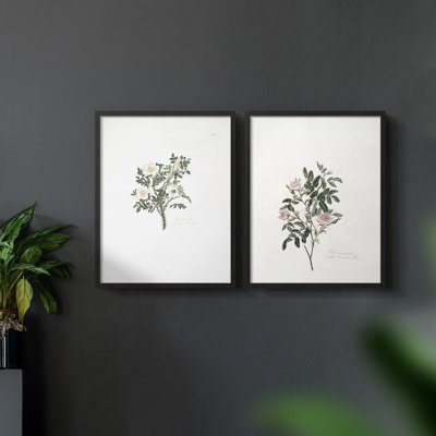 «Vintage Floral XXIII», 2 pièces sur papier