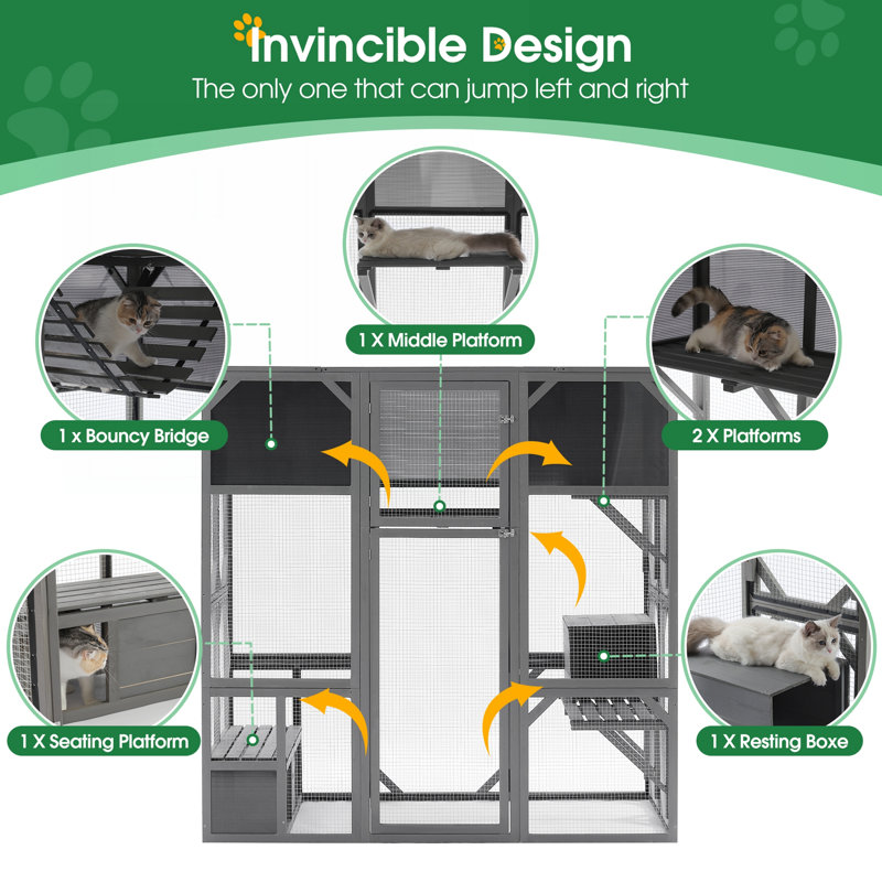 Cat House