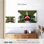 «Football Helmets-605008405