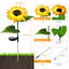 Éclairage de tournesol Hartshorne à énergie solaire résistant aux intempéries (ensemble de 4)