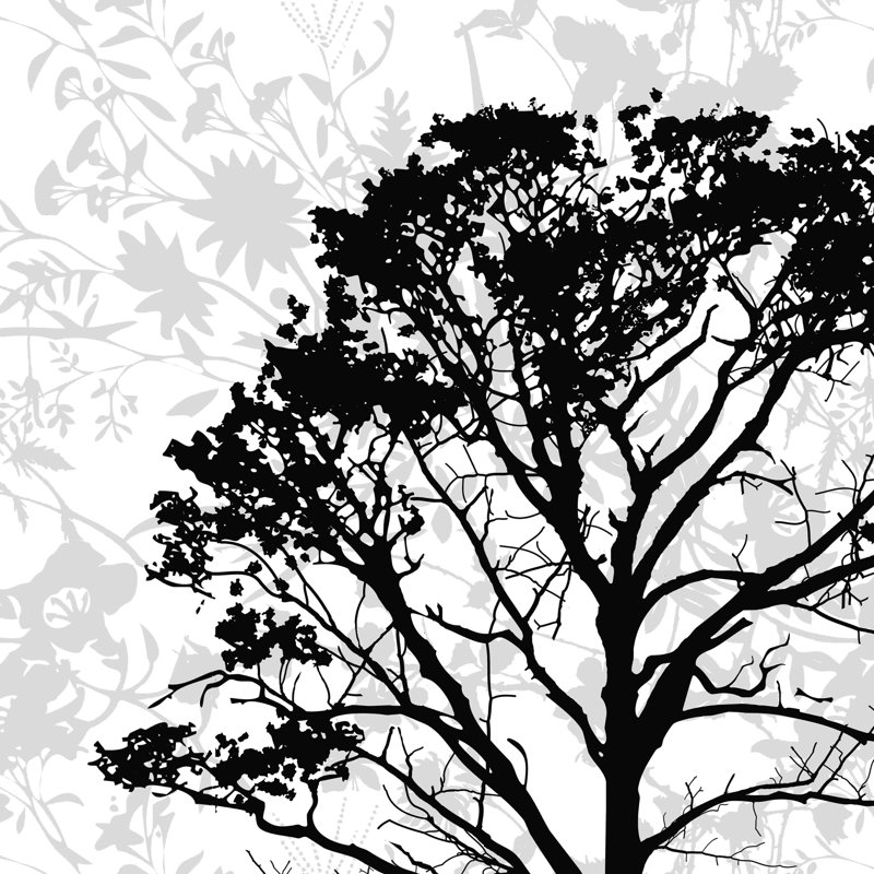 «Black and White Tree Silhouette», impression sur toile tendue, H 30 po x l 30 po
