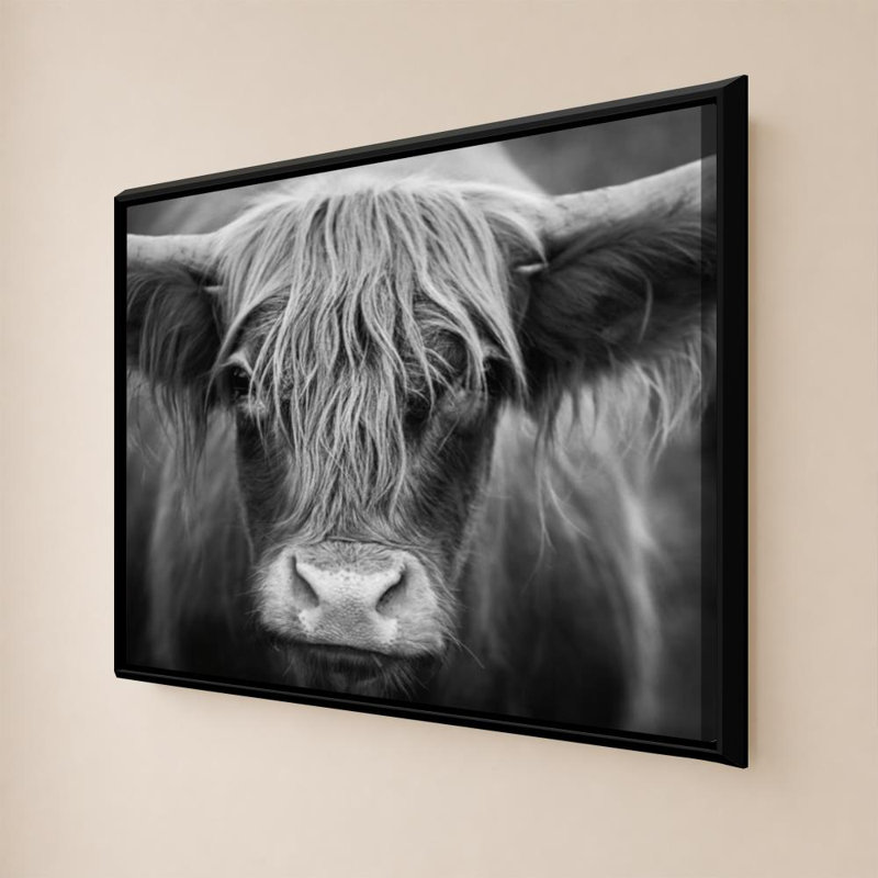 «Cow Nose BW» par Nathan Larson - Impression sur toile, 18" H x 24" W, Beveled Floating Frame, Noir