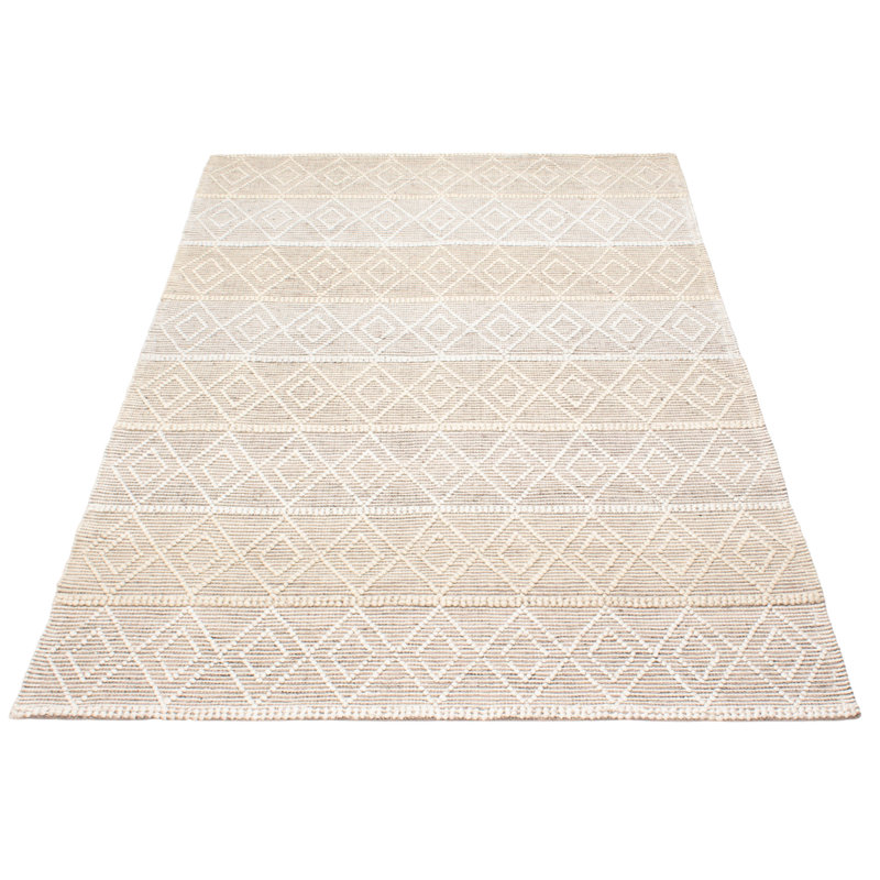 Iamandi Performance Hand Braided Wool Rug