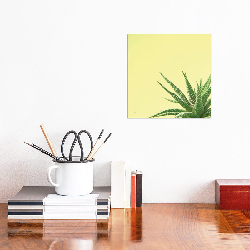 Succulent Simplicity II 1 Piece Wrapped Canvas Wall Art, 30.48cm H x 30.48cm W
