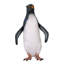 Statue pingouin Rockhopper
