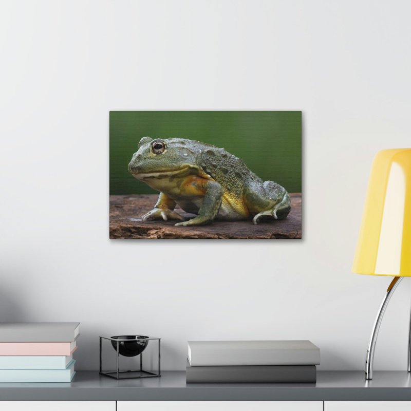 Art de grenouille majestueuse impression de grenouille, H 12 po x l 18 po