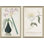 Belladonna Lily & Flower On A Passion Tree Giclee Print by Paul Cezanne