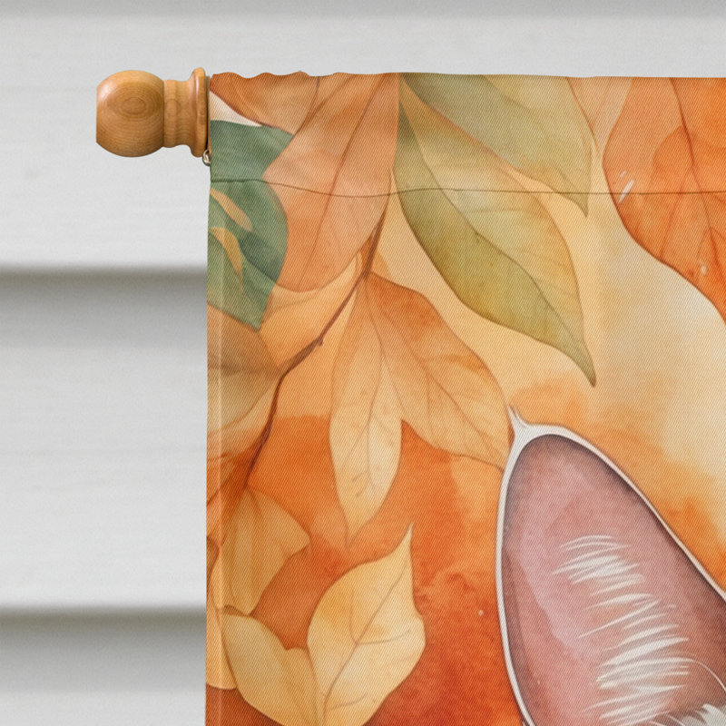 Chat en feuilles d'automne, Khao Manee