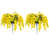 Jaune est en rupture de stock