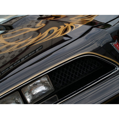 " 1978 Pontiac Trans Am "