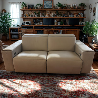 Sofa 2 Seater Power Recliner Leather