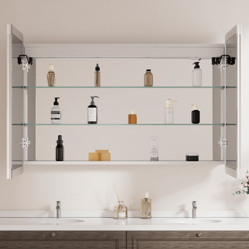 Armoire à pharmacie encastrée / à fixation en saillie à cadre arrondi avec cadre en aluminium argenté l 48 po x H 32 po Cynethia